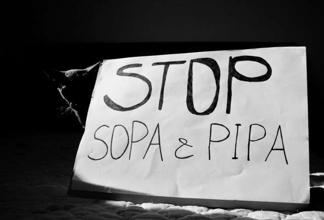 stop sopa & pipa